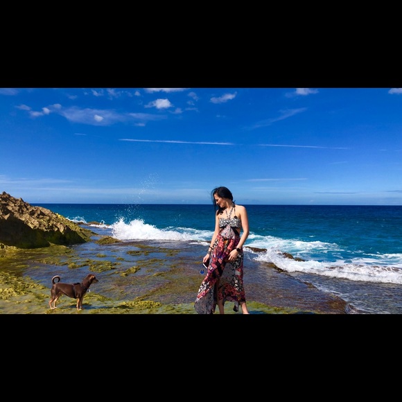 Meet your Posher, Hannah - Picture 4 of 4